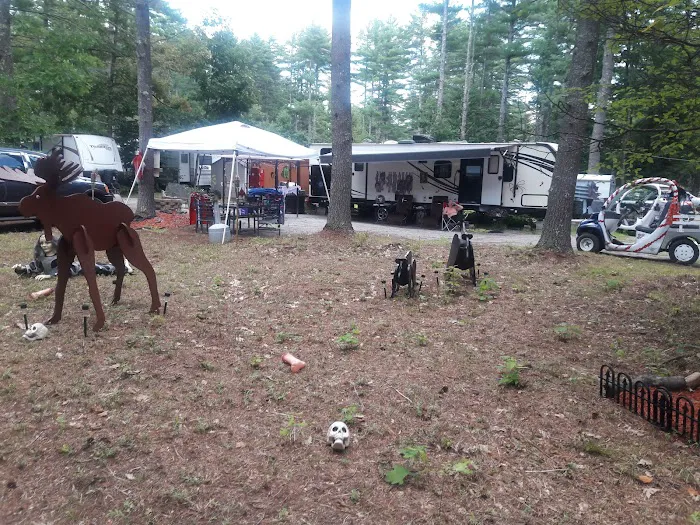 Salmon Falls River RV Resort Picture 1