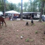 Salmon Falls River RV Resort