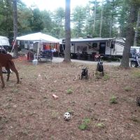 Salmon Falls River RV Resort ico