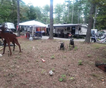 Salmon Falls River RV Resort