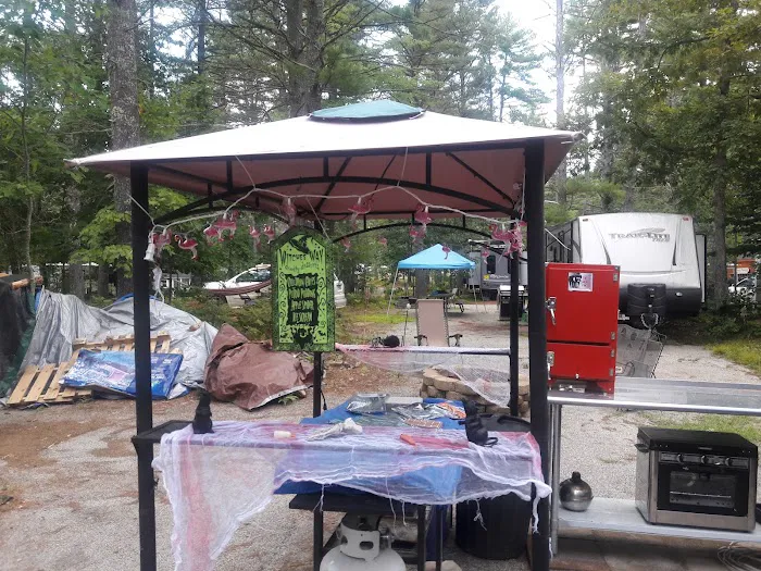 Salmon Falls River RV Resort Picture 2