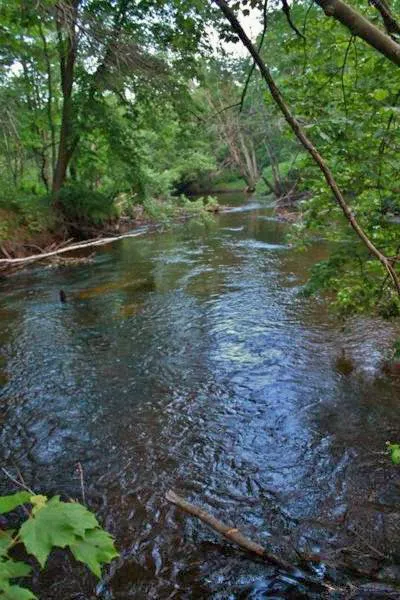 Salmon Falls River RV Resort Picture 10