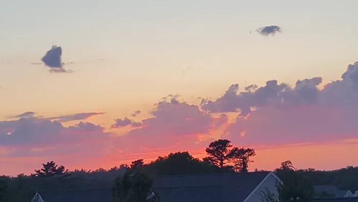 Bay View Campground Picture 4