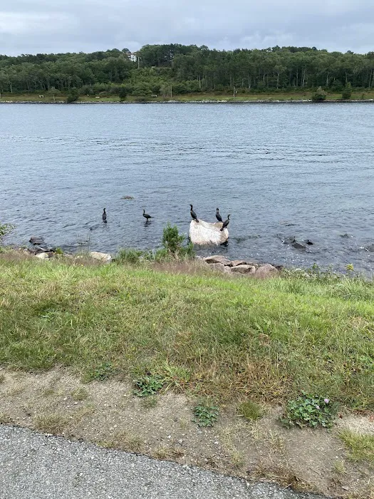 Bourne Scenic Park Picture 9