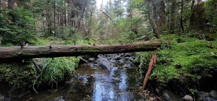 Uphill Leanto Picture 1