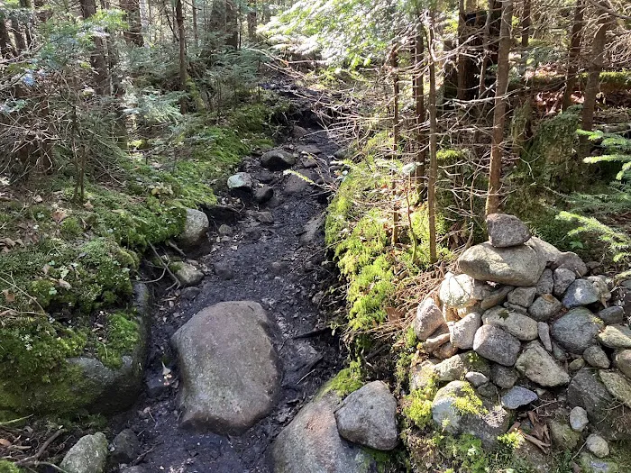 Uphill Leanto Picture 6