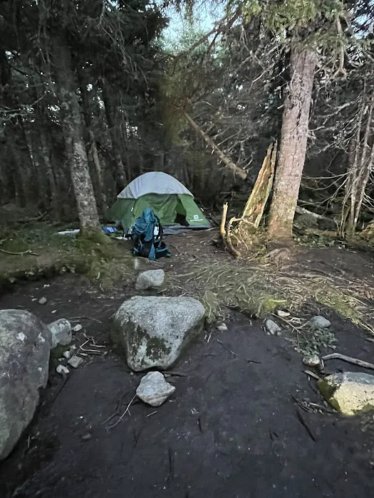 Lake Colden camping Picture 2