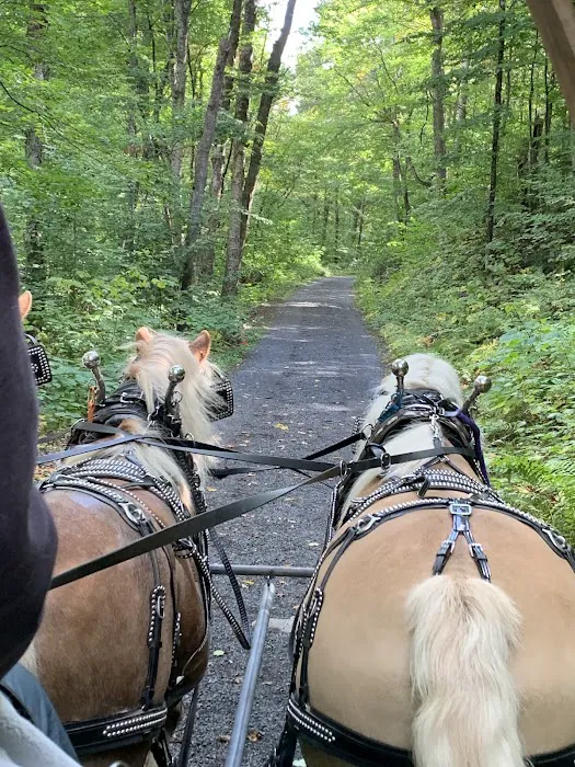 Great Camp Santanoni Picture 9