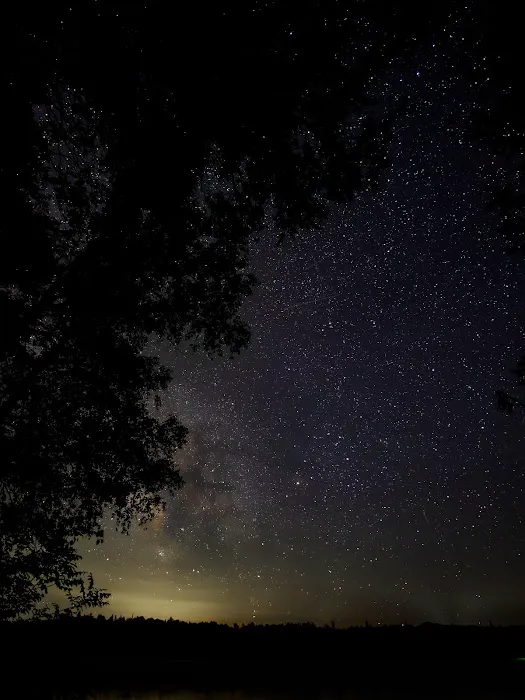 Lake Harris Picture 9