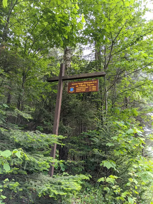 Eastern Shore Campground, Copperas Pond Picture 3