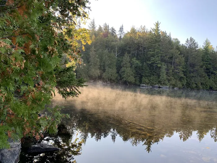Eastern Shore Campground, Copperas Pond Picture 8