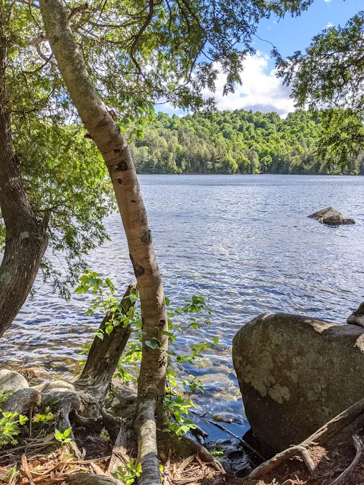 Eastern Shore Campground, Copperas Pond Picture 2