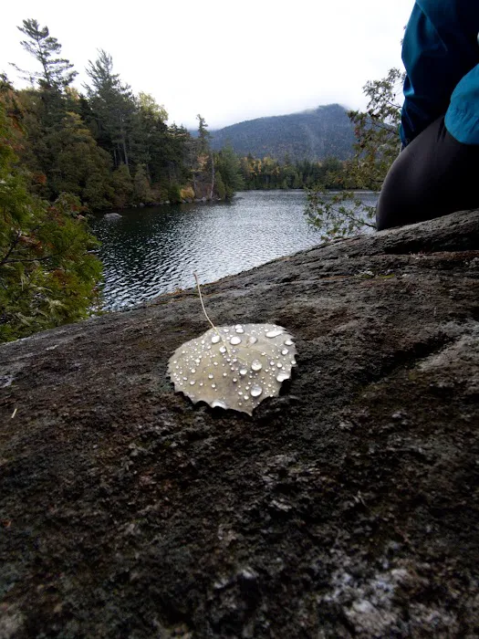 Eastern Shore Campground, Copperas Pond Picture 7