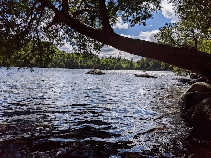 Eastern Shore Campground, Copperas Pond Picture 9