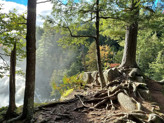 Wilmington Notch Campground Picture 7