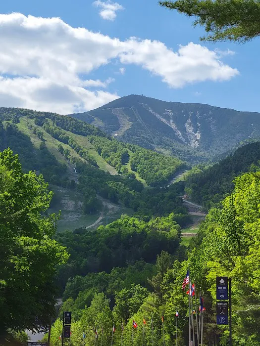 Wilmington Notch Campground Picture 5