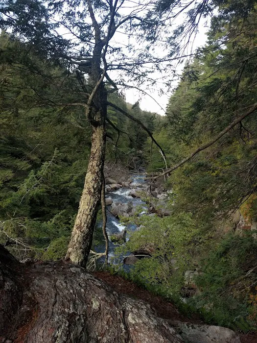 Wilmington Notch Campground Picture 1