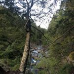 Wilmington Notch Campground