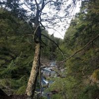 Wilmington Notch Campground ico