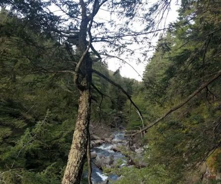 Wilmington Notch Campground