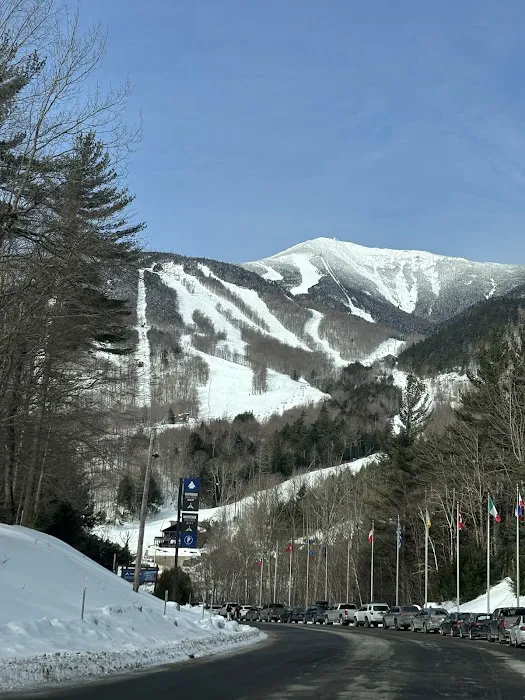 Wilmington Notch Campground Picture 3