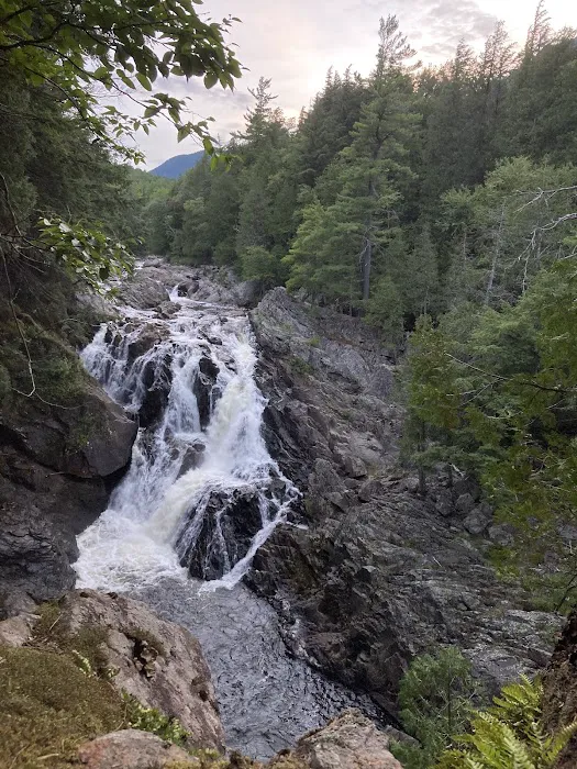 Wilmington Notch Campground Picture 2