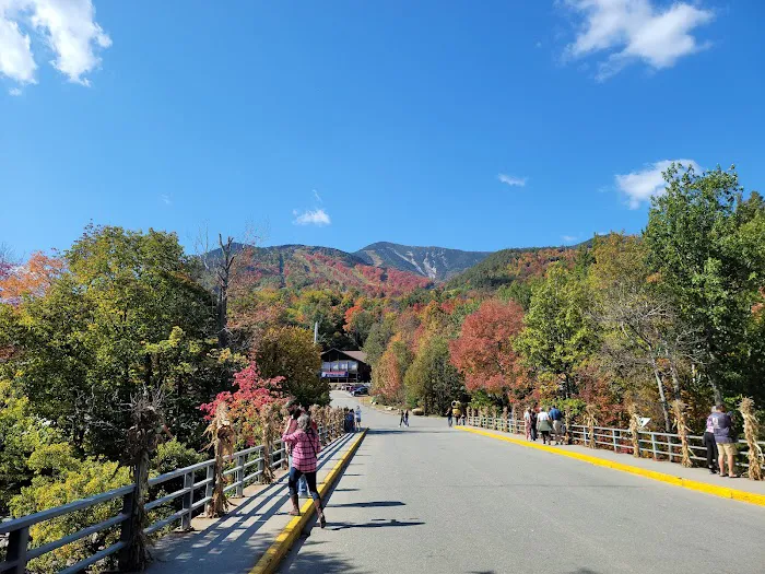 Wilmington Notch Campground Picture 8