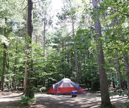 Camp Whiteface Mountain