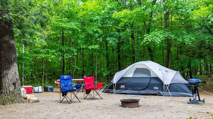 Camp Whiteface Mountain Picture 4