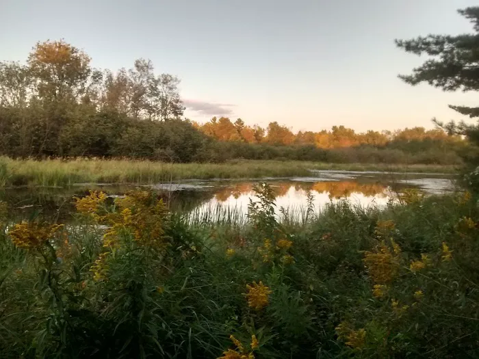 Jelly Beans Riverside Campground Picture 3