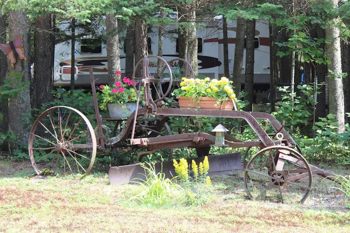 Deer River Campsite Picture 8