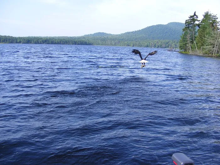 Deer River Campsite Picture 3
