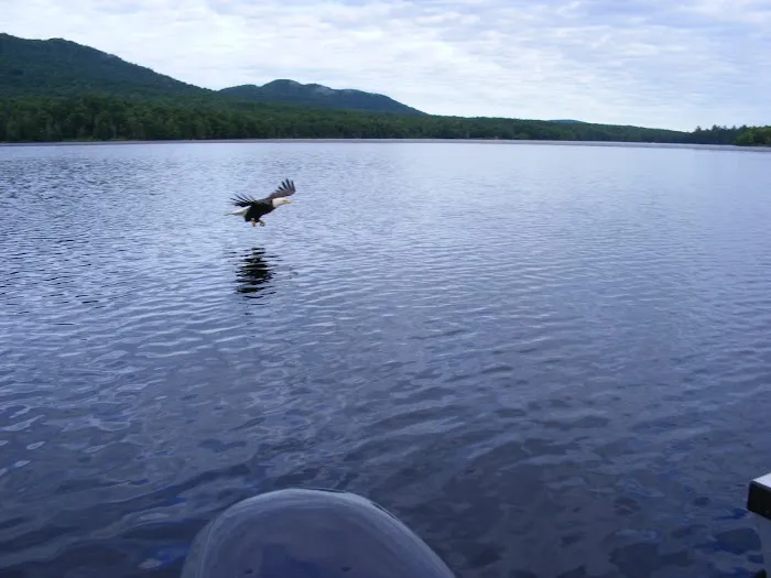 Deer River Campsite Picture 9