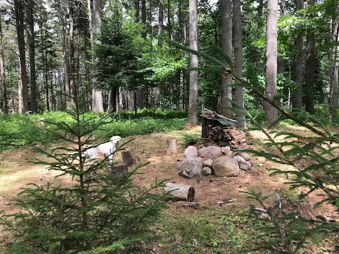 Woodland Grove Camping at Adirondack Adventure Base Picture 9