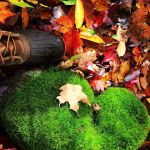 Woodland Grove Camping at Adirondack Adventure Base