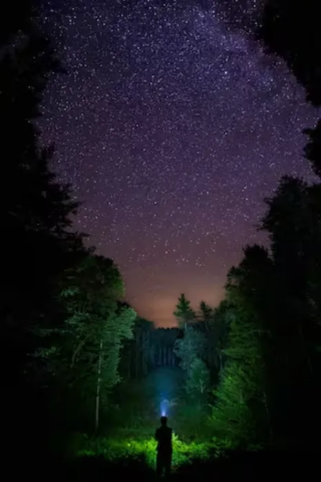 Overlook Lean-to at Adirondack Adventure Base Picture 8