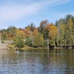 Saranac Lake Islands Campground - Campsite #62