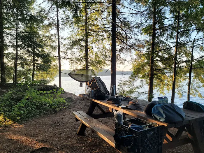 Saranac Lake Islands Campground - Campsite #62 Picture 4