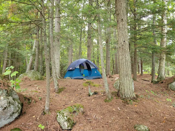 Saranac Lake Islands Campground - Campsite #62 Picture 9