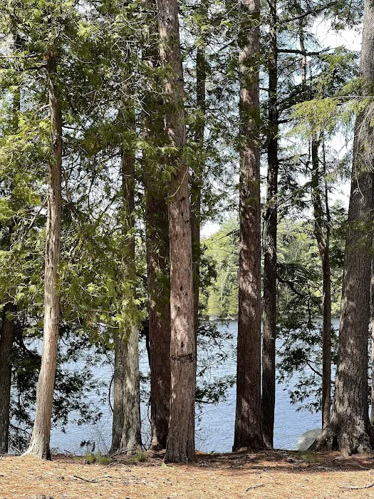 Saranac Lake Islands Campground - Campsite #6 Picture 8