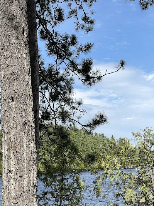 Saranac Lake Islands Campground - Campsite #6 Picture 3