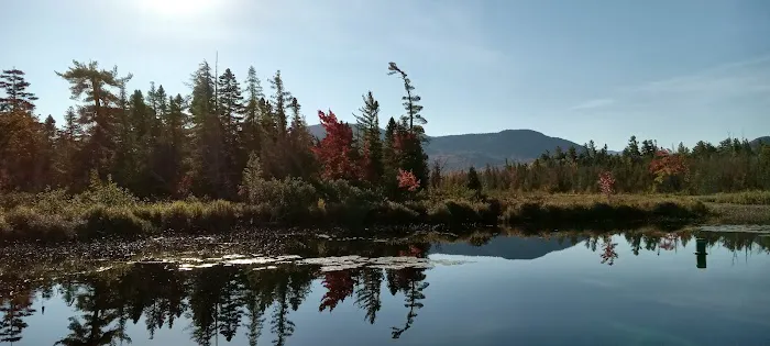 Diamond Dock Camp Picture 1