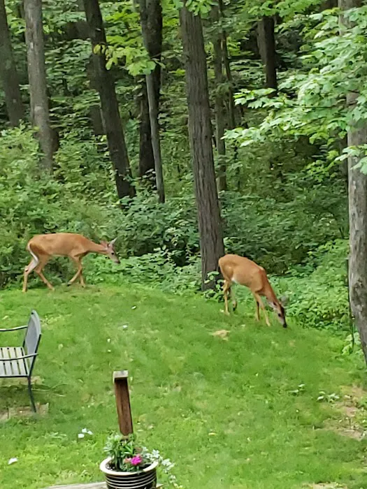 Rooster Retreat Vacation Rental Picture 10