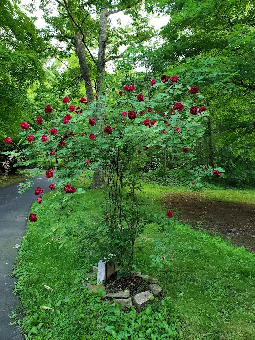 Rooster Retreat Vacation Rental Picture 7