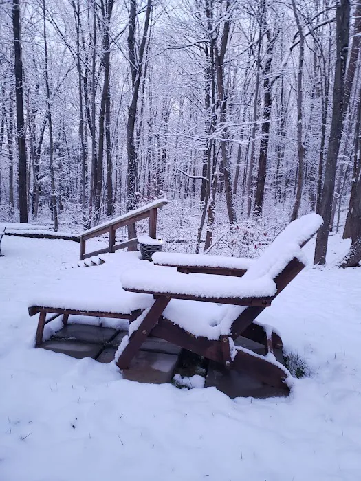 Rooster Retreat Vacation Rental Picture 3