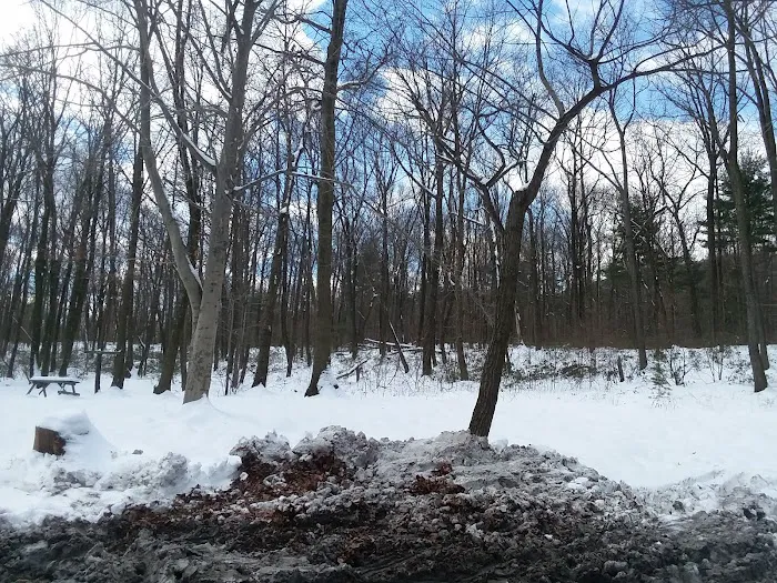 SunValley Campground Picture 3