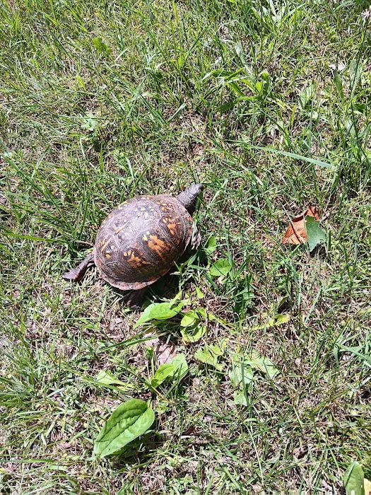 Newburg Campground Picture 4