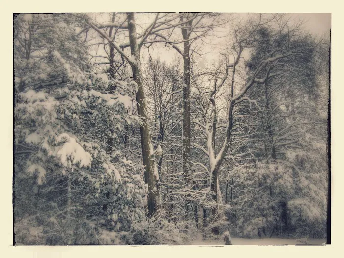 Brush Creek Campground Picture 7