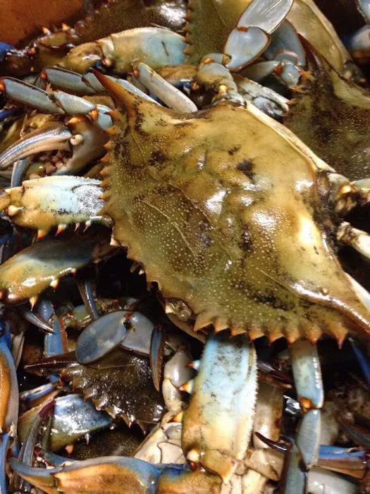 Brush Creek Campground Picture 2