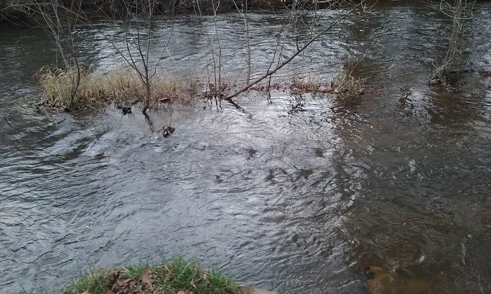 Brush Creek Campground Picture 3